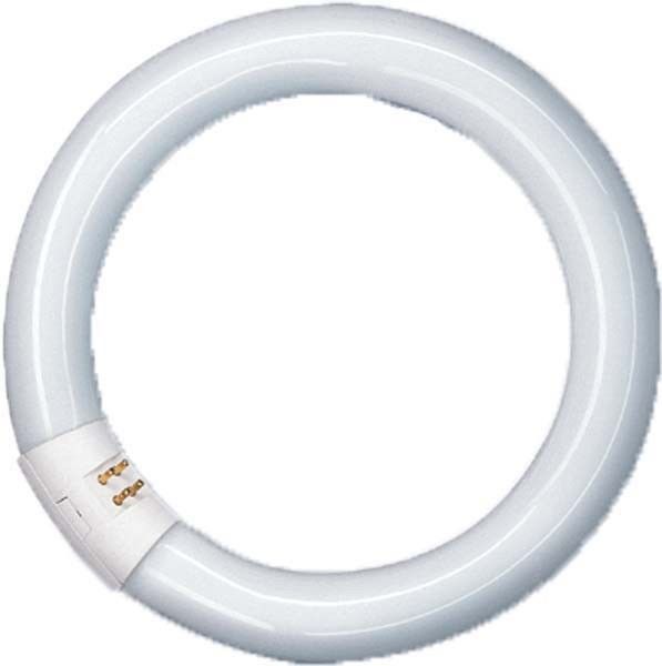 Ring-Leuchtstofflampe T8 NL-T9 22W/840C/G10Q