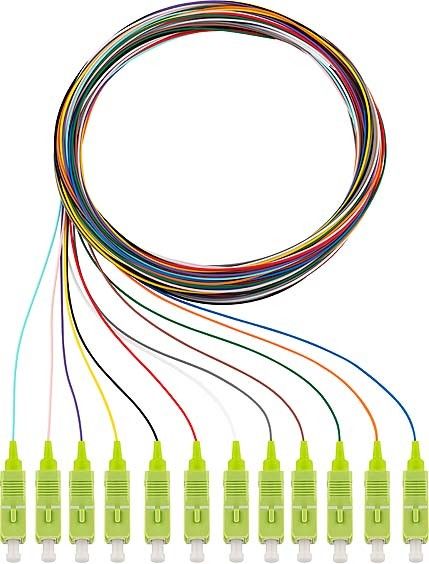 Pigtails 12xSC OM5 2m