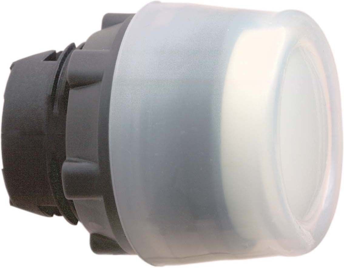 Drucktaster ZB5AP18 Drucktaster ZB5AP18