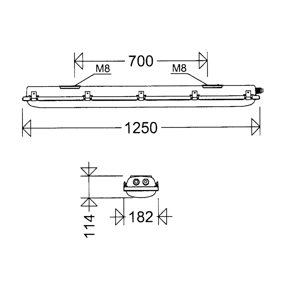 LED-Ex-Wannenleuchte e865F 12L60