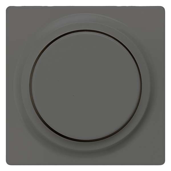 Dimmer-Abdeckplatte 5TC8903 carbonmetallic Dimmer-Abdeckplatte 5TC8903 carbonmetallic
