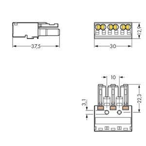 Buchse 770-1303