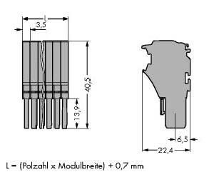 Federleiste 2020-102
