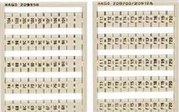 WSB-Bezeichnungssystem 209-995