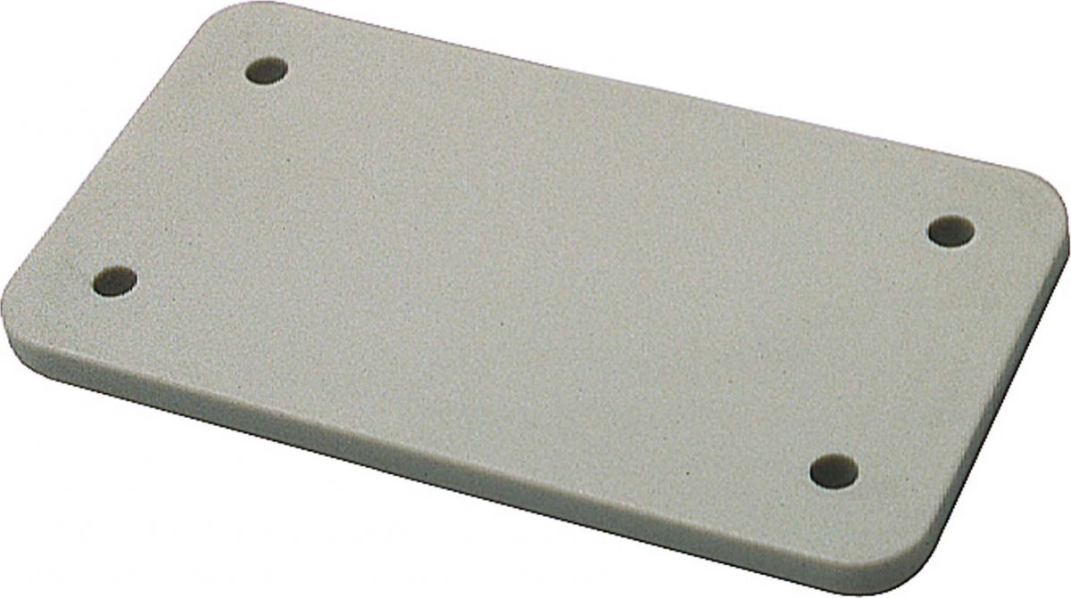 Abdeckplatte B6 720638