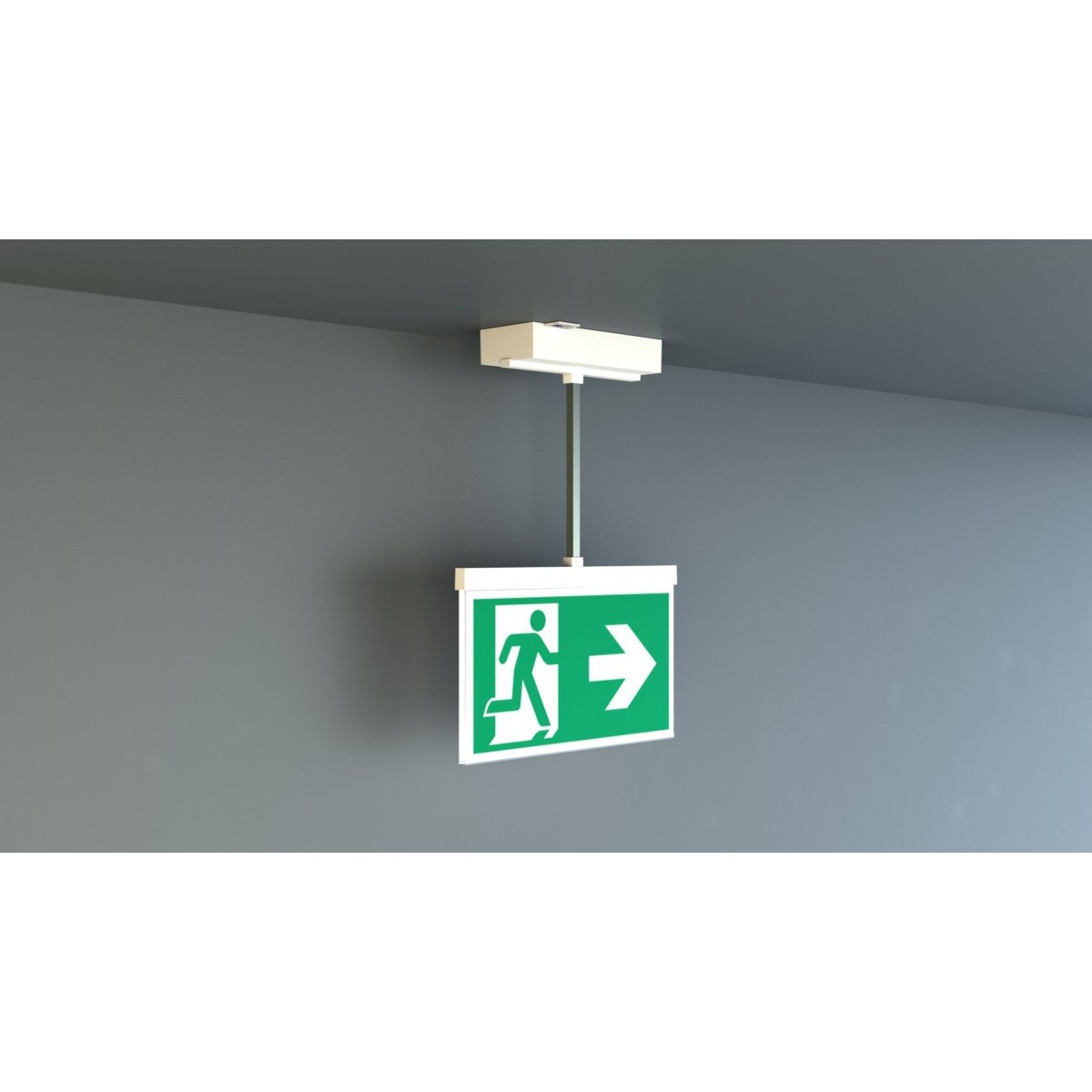 Rettungszeichenleuchte AMDP003SC