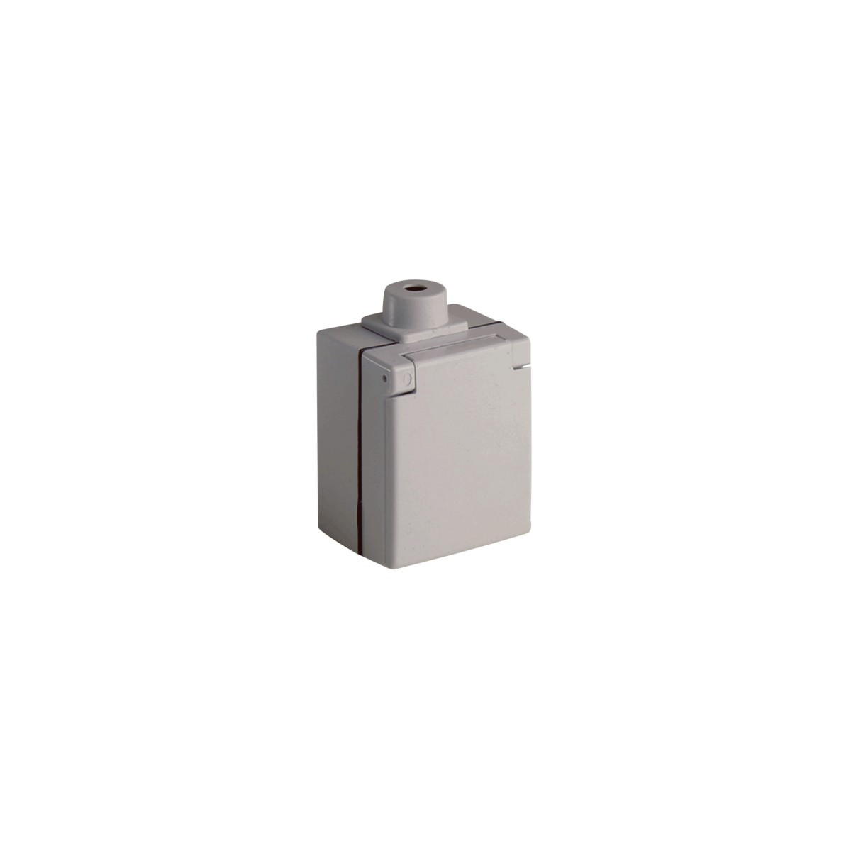 AP-Steckdose PERILEX 2441