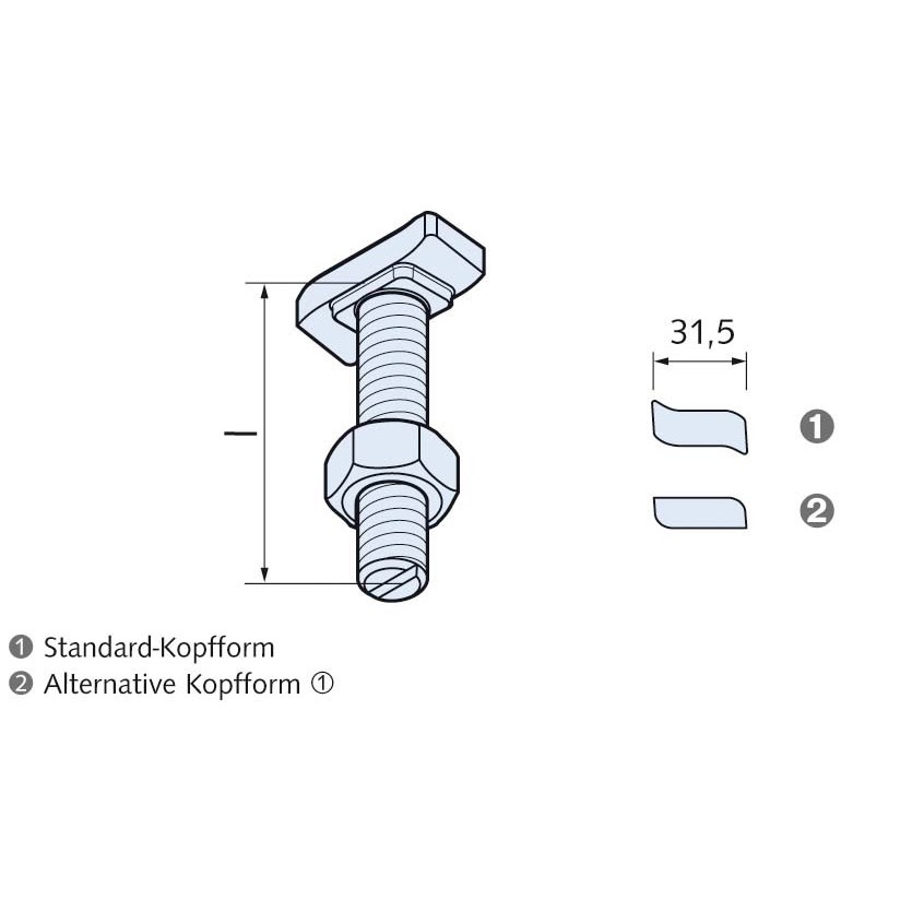 Halfenschraube HS 38/17 M10x30A4-70