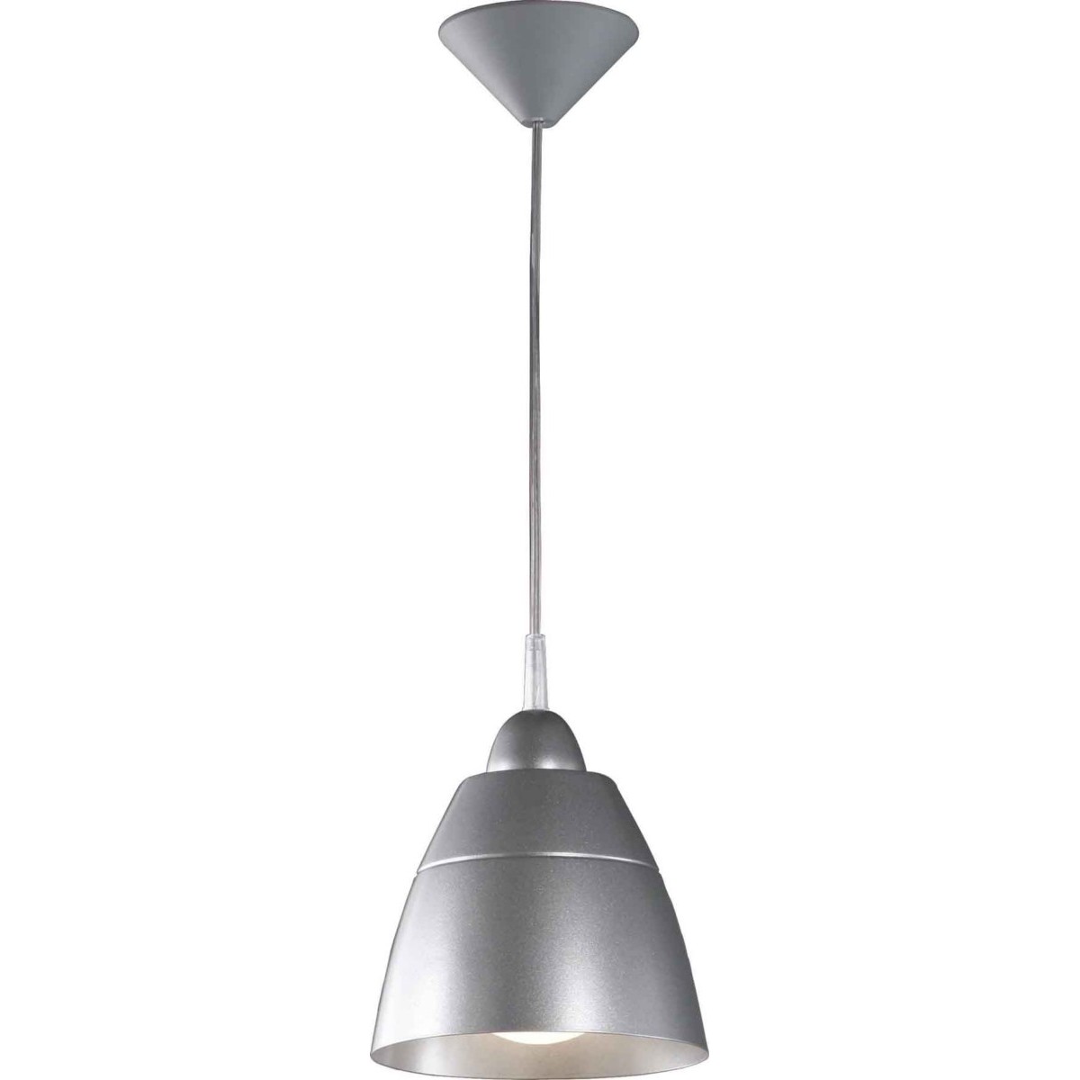 Pendelleuchte 21293