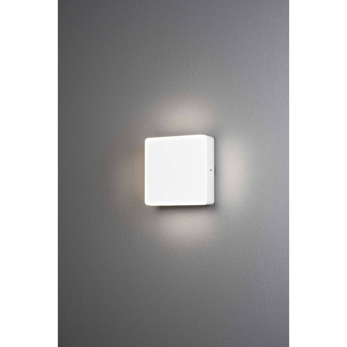 LED Wandleuchte Cesena 7863-252