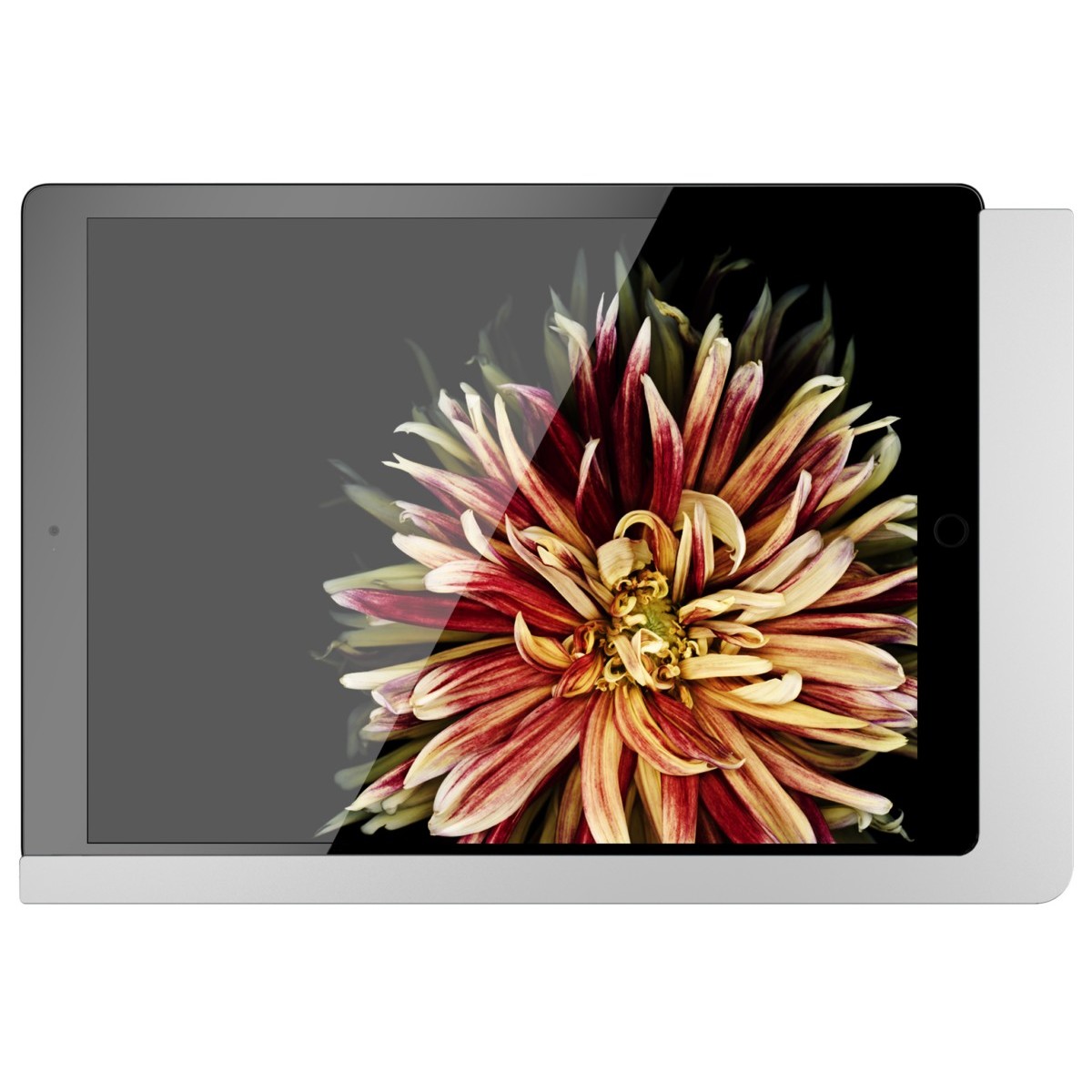 iPad Wandhalterung 510150LAN