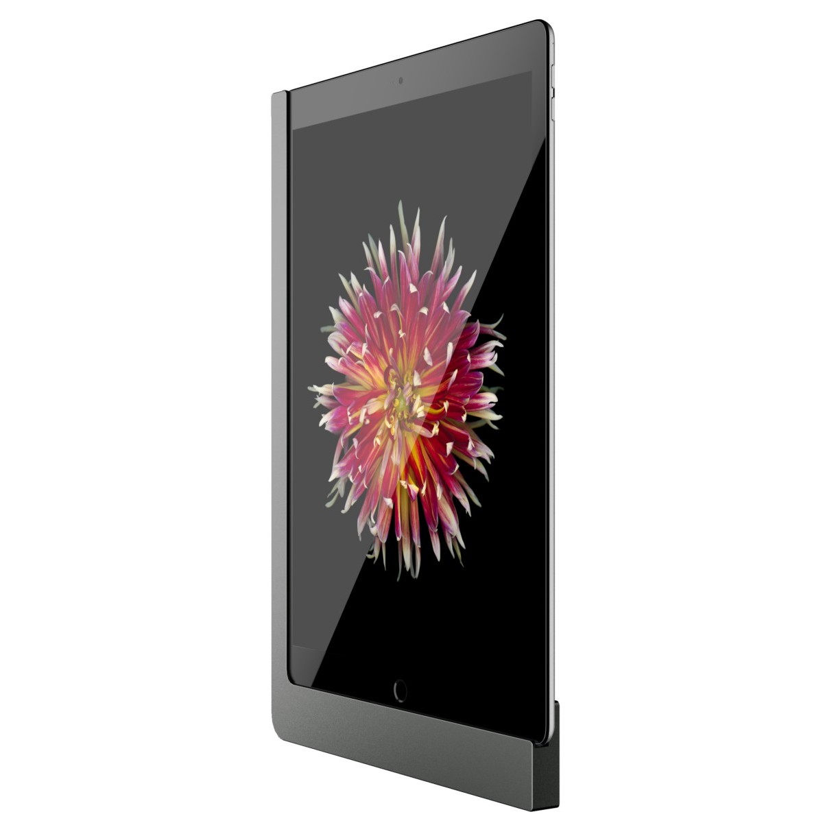 iPad Wandhalterung 510151