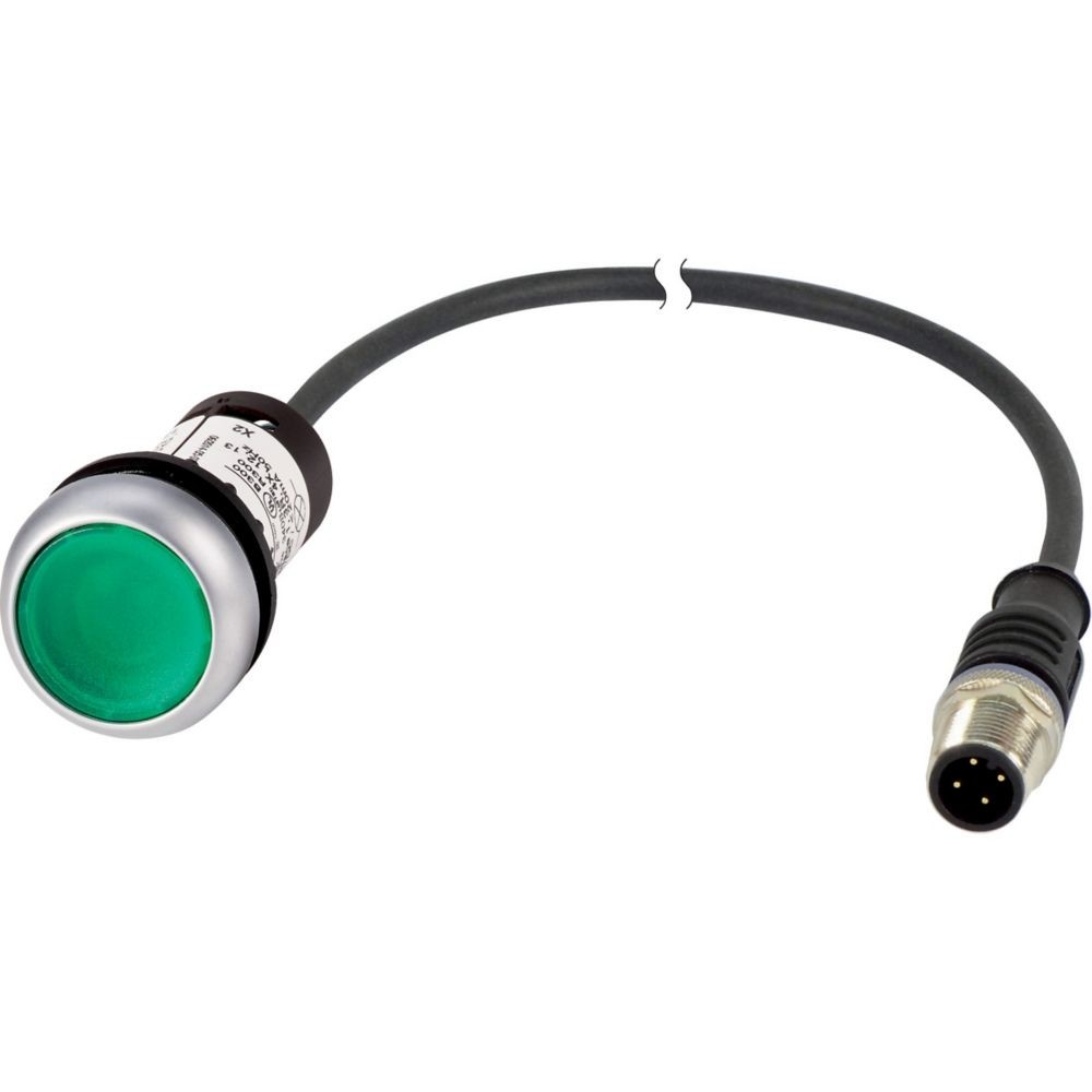 Leuchtdrucktaste flach 1S C22-DL-G-K10-24-P5