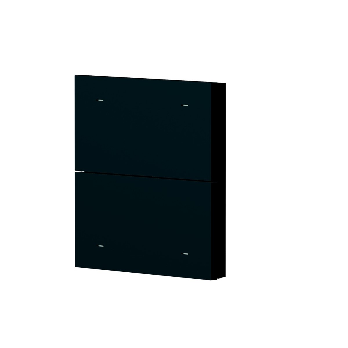 2-fach Wippe Kunststoff iONprime PB 2R PBK