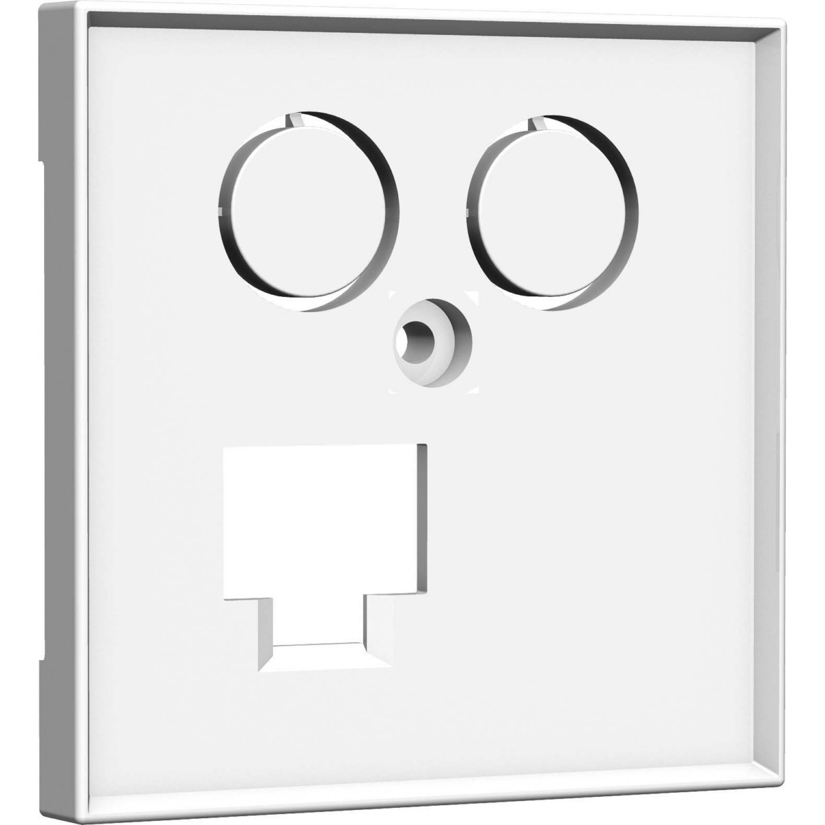 Zentralplatte TV+LAN 55x55