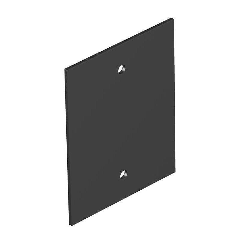Abdeckplatte T12L P01S 9011