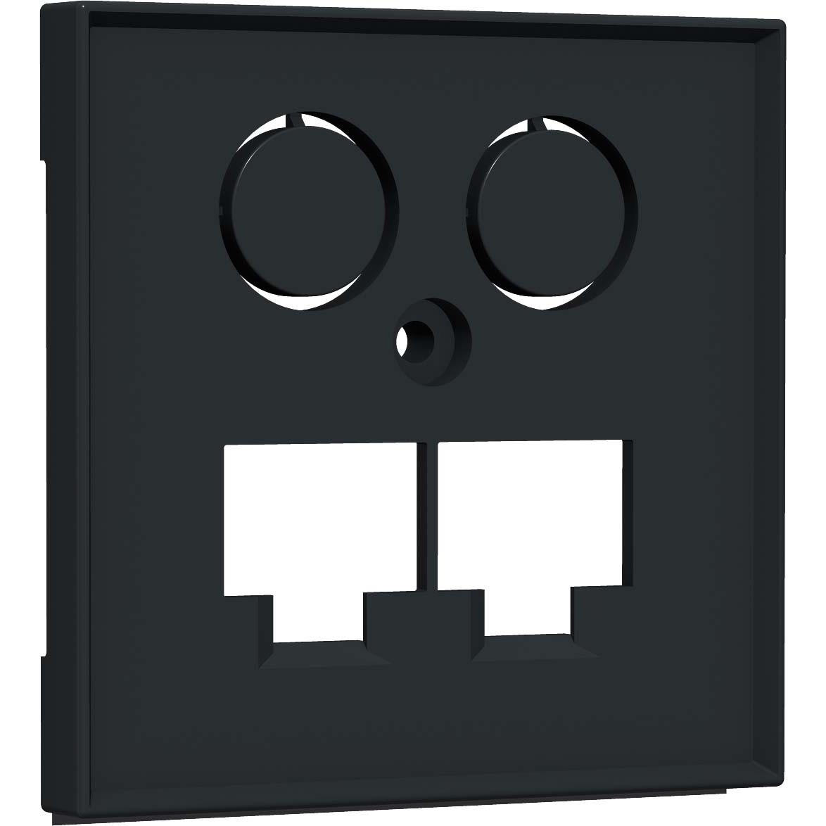 Zentralplatte TV+LAN/LAN HW-ZLLANM55V1