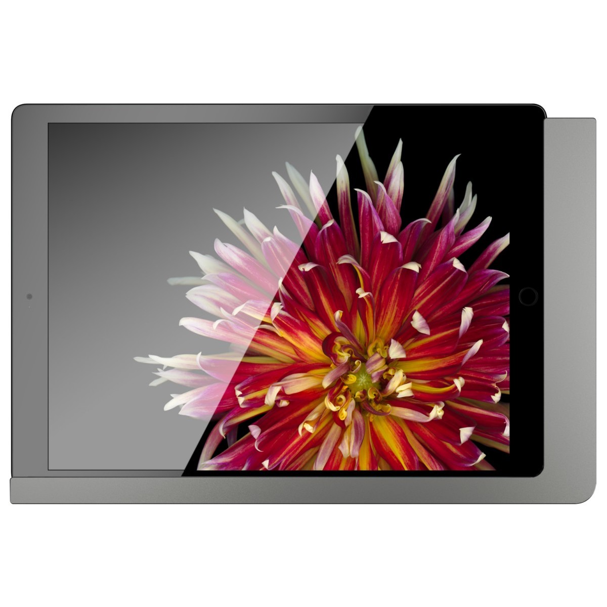 iPad Wandhalterung 510171LAN