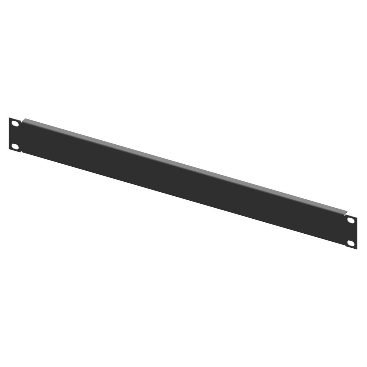 19Zoll Blindplatte TPA 01-s