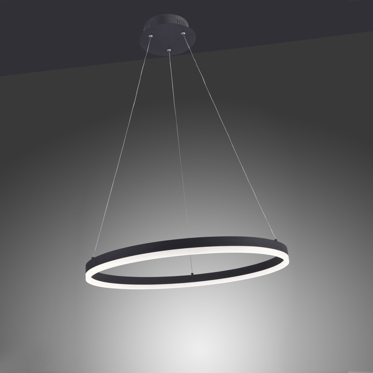 LED-Pendelleuchte 2382-13