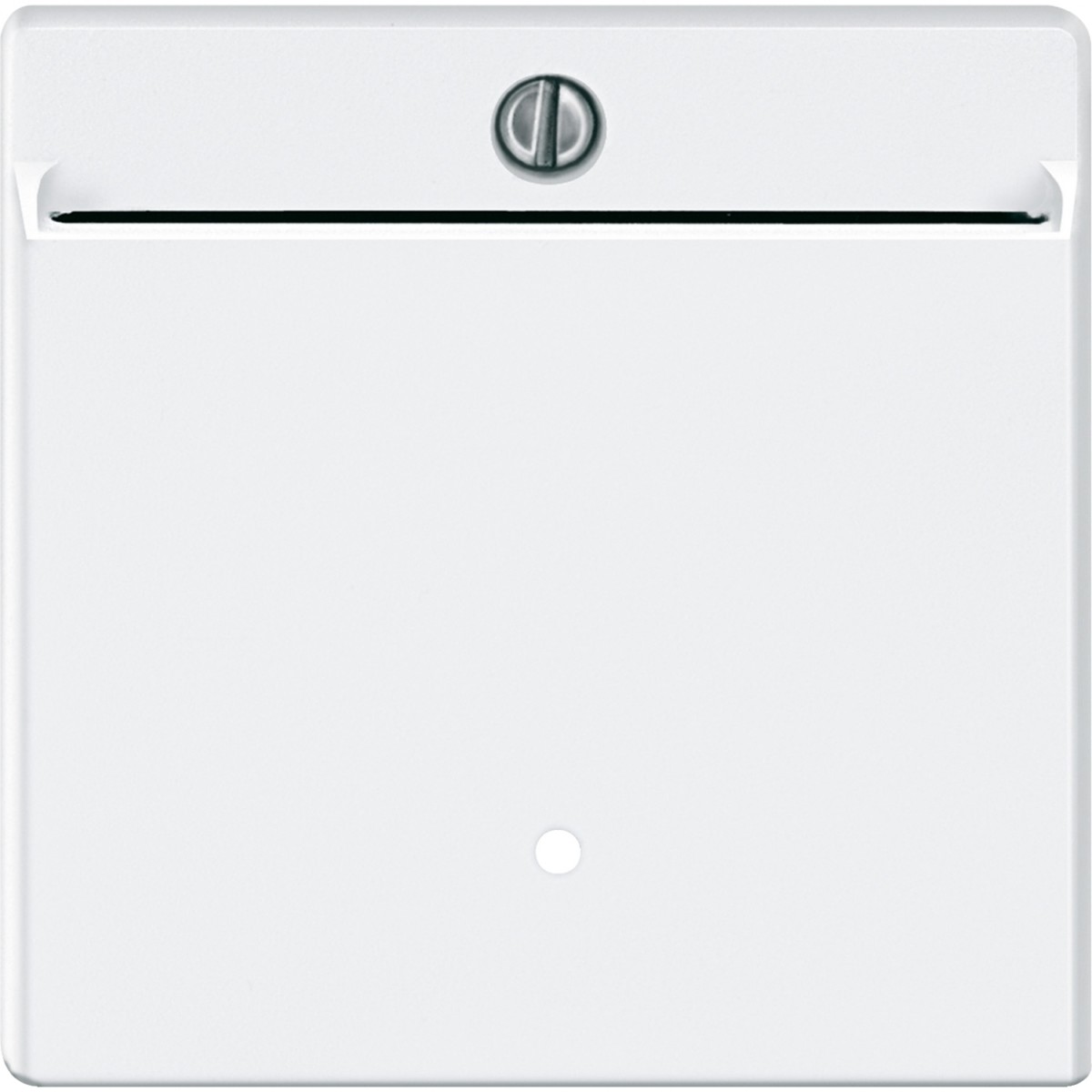 Card-Schalter pws 315419