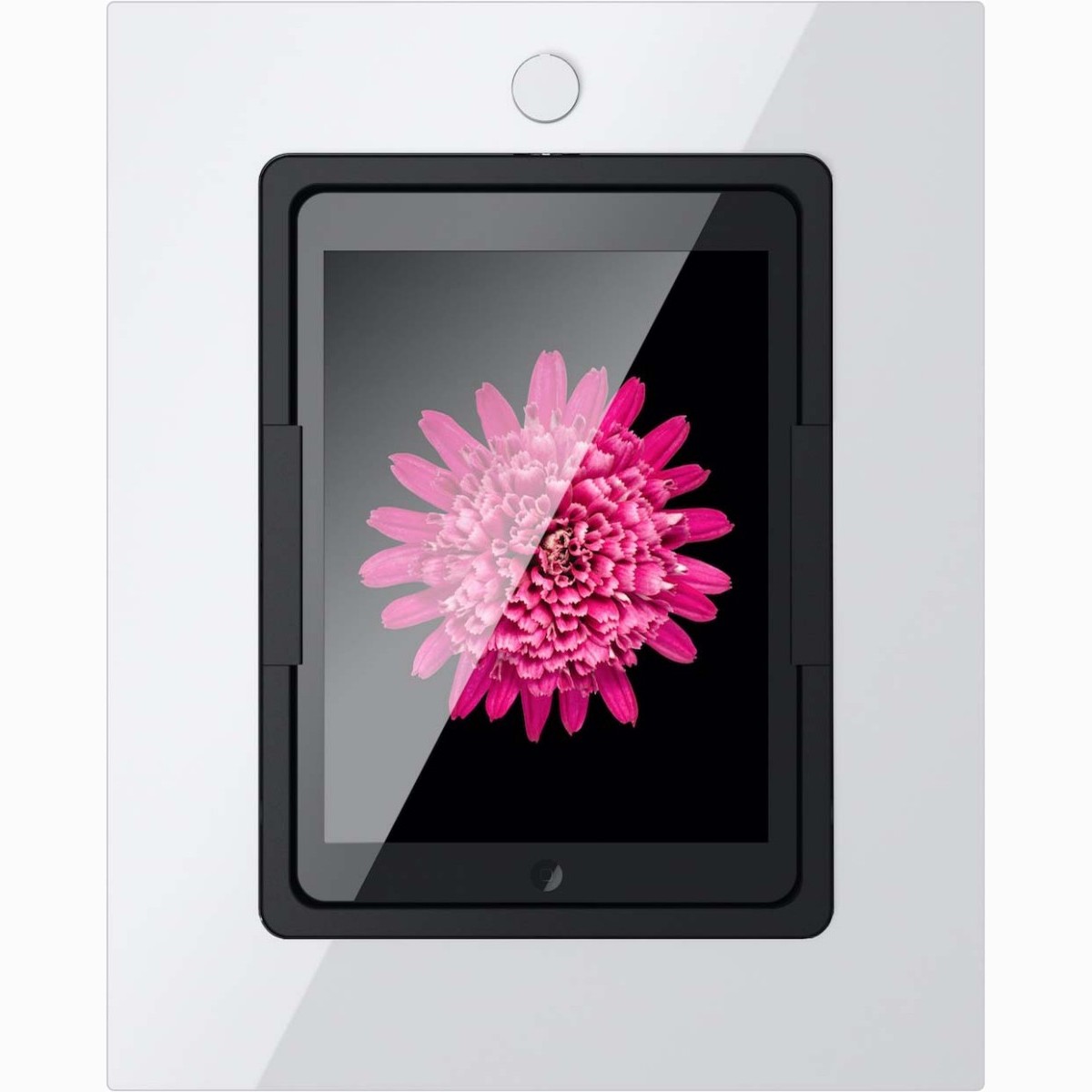 iPad Wandhalterung 210172LAN