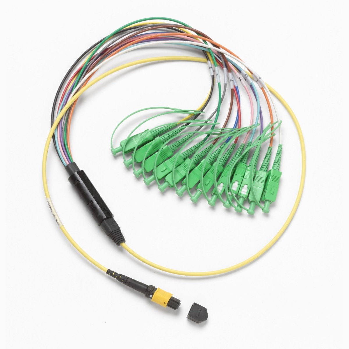 Breakout-MPO SM Testkabel SBKC-MPOAPCU-SCAPC