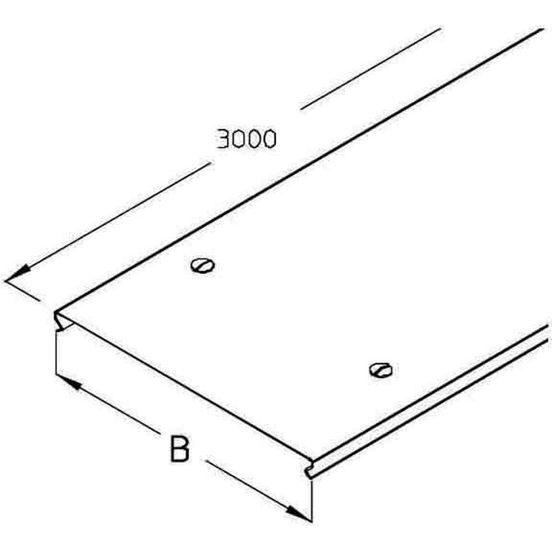 Installationsrinnendeckel RIDR 30S