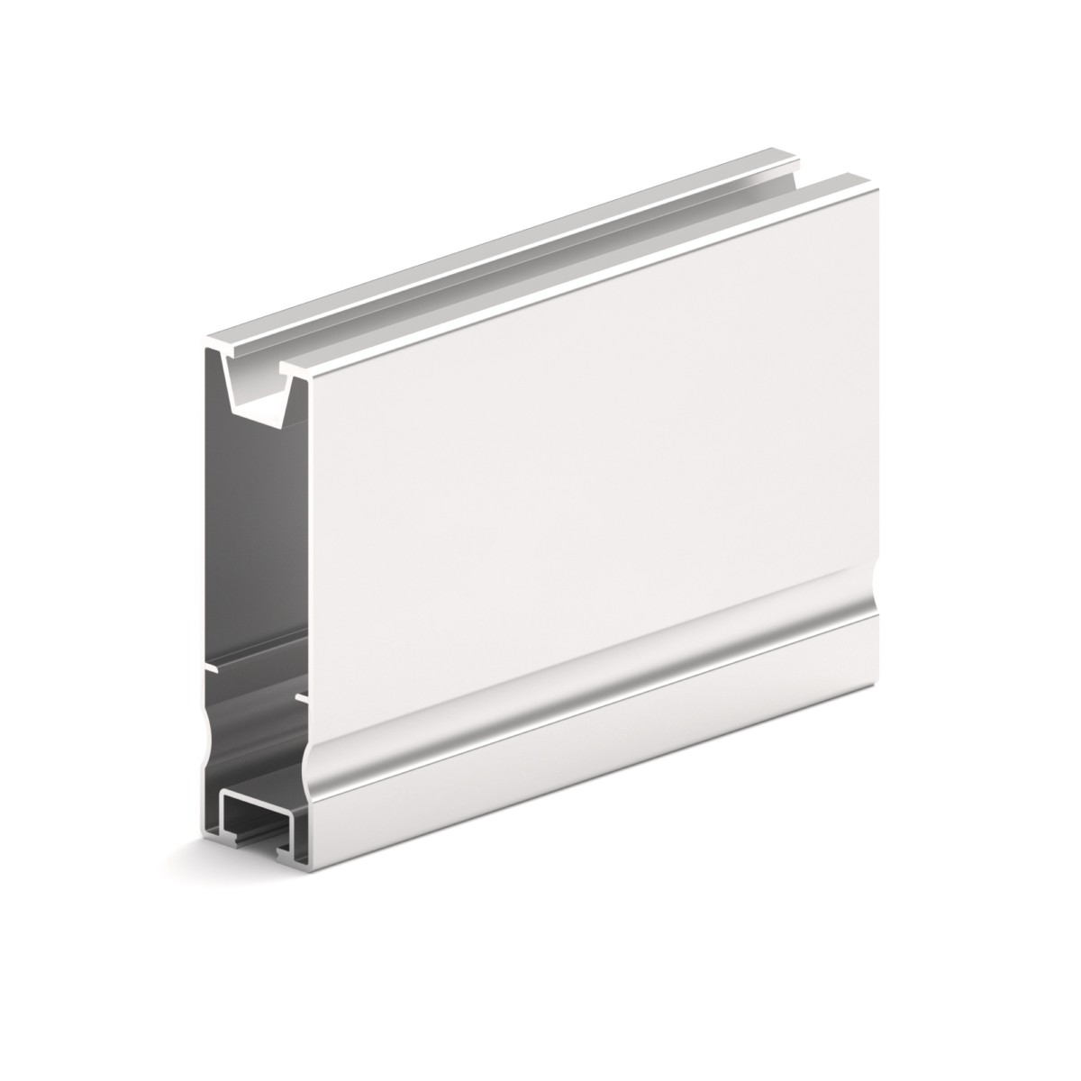 Modultragprofil Pro100 450mm 120023-00450 Alu blank